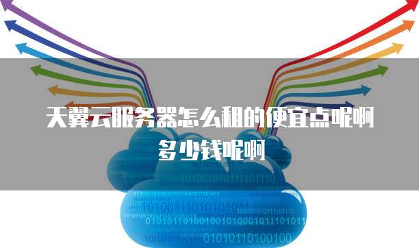 天翼云服务器怎么租的便宜点呢啊多少钱呢啊