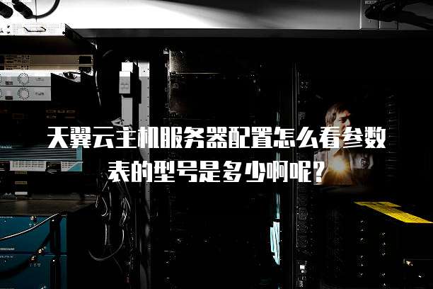 天翼云主机服务器配置怎么看参数表的型号是多少啊呢?