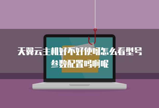 天翼云主机好不好使呀怎么看型号参数配置吗啊呢