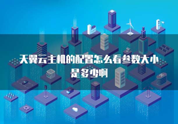 天翼云主机的配置怎么看参数大小是多少啊