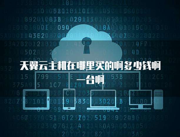 天翼云主机在哪里买的啊多少钱啊一台啊