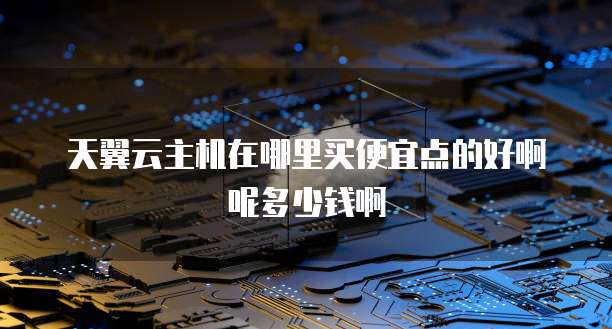天翼云主机在哪里买便宜点的好啊呢多少钱啊