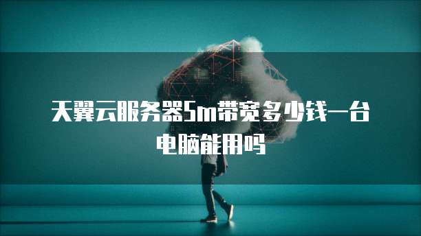天翼云服务器5m带宽多少钱一台电脑能用吗