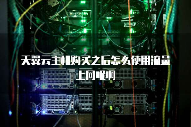 天翼云主机购买之后怎么使用流量上网呢啊