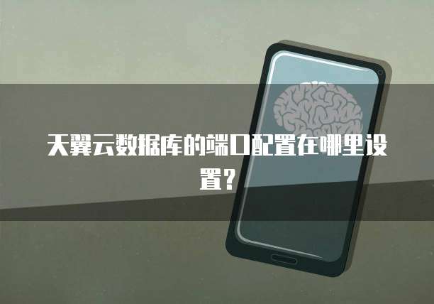 天翼云数据库的端口配置在哪里设置?