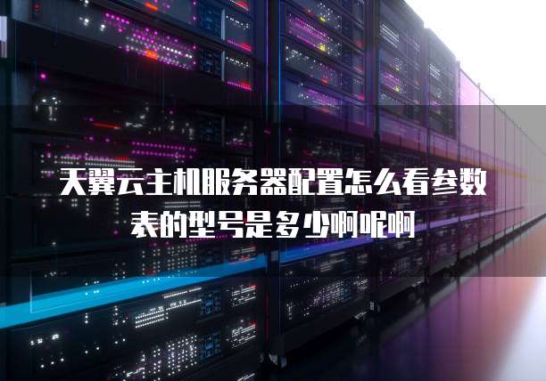 天翼云主机服务器配置怎么看参数表的型号是多少啊呢啊