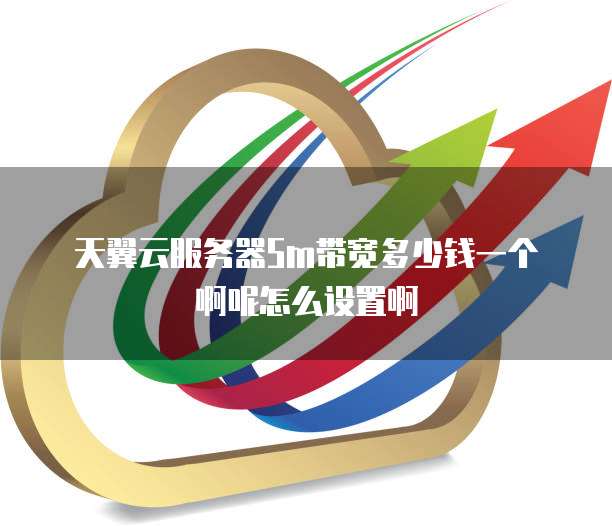 天翼云服务器5m带宽多少钱一个啊呢怎么设置啊