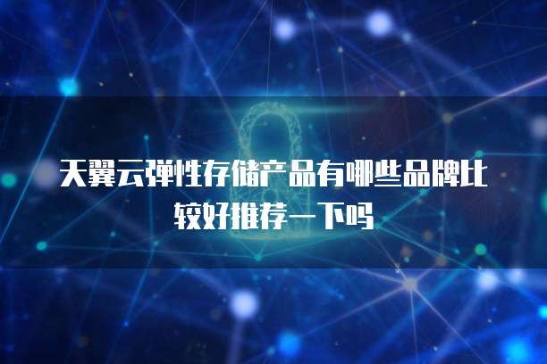 天翼云弹性存储产品有哪些品牌比较好推荐一下吗