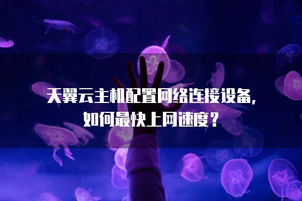 天翼云主机配置网络连接设备,如何最快上网速度?