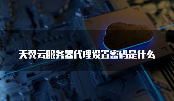 天翼云服务器代理设置密码是什么