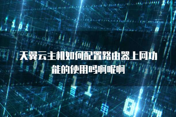 天翼云主机如何配置路由器上网功能的使用吗啊呢啊
