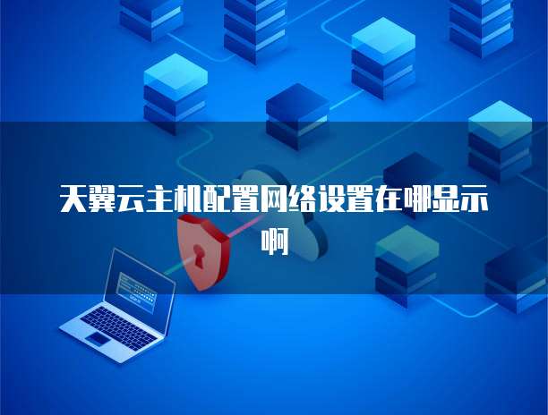 天翼云主机配置网络设置在哪显示啊