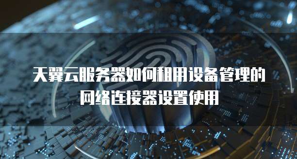 天翼云服务器如何租用设备管理的网络连接器设置使用