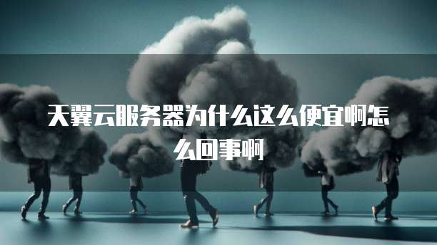 天翼云服务器为什么这么便宜啊怎么回事啊