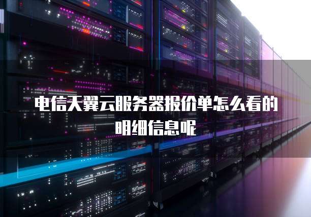 电信天翼云服务器报价单怎么看的明细信息呢