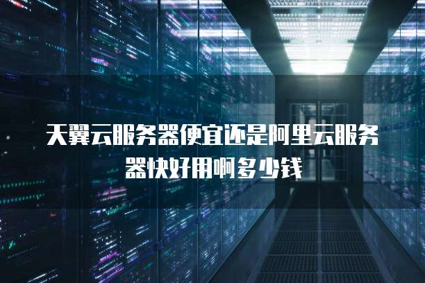 天翼云服务器便宜还是阿里云服务器快好用啊多少钱