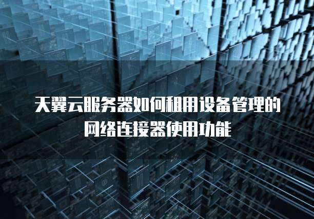 天翼云服务器如何租用设备管理的网络连接器使用功能