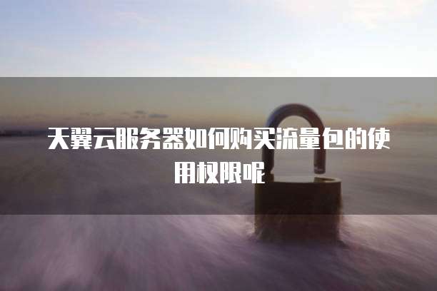 天翼云服务器如何购买流量包的使用权限呢