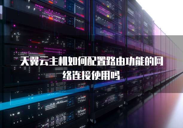 天翼云主机如何配置路由功能的网络连接使用吗