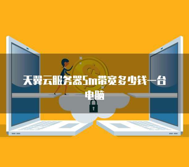天翼云服务器5m带宽多少钱一台电脑