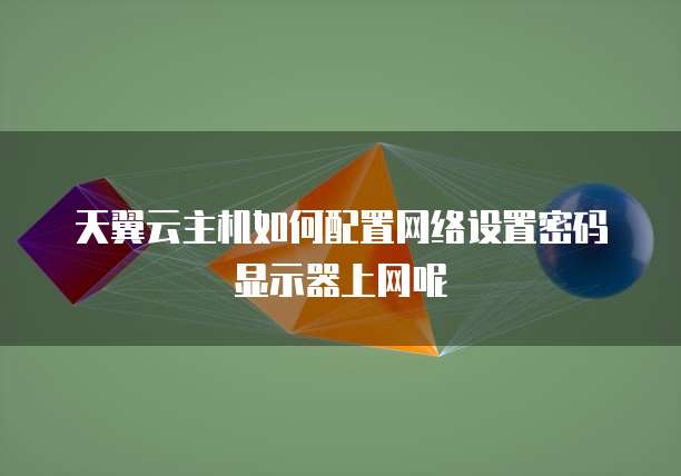 天翼云主机如何配置网络设置密码显示器上网呢