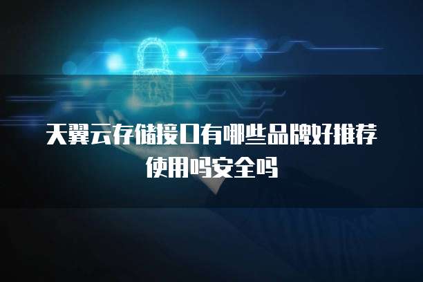 天翼云存储接口有哪些品牌好推荐使用吗安全吗