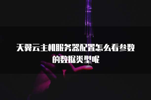 天翼云主机服务器配置怎么看参数的数据类型呢