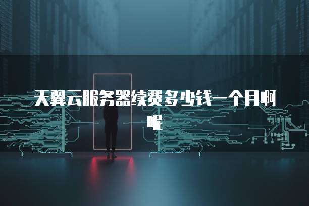 天翼云服务器续费多少钱一个月啊呢
