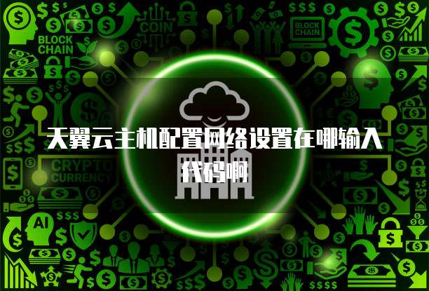 天翼云主机配置网络设置在哪输入代码啊