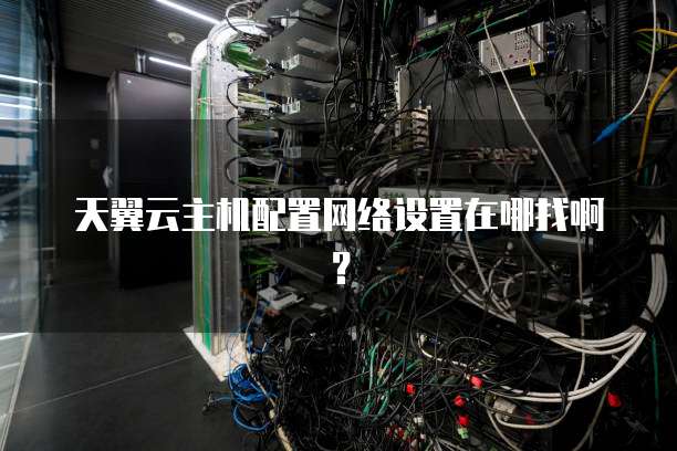 天翼云主机配置网络设置在哪找啊？