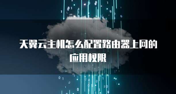天翼云主机怎么配置路由器上网的应用权限