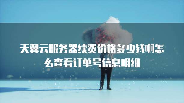 天翼云服务器续费价格多少钱啊怎么查看订单号信息明细