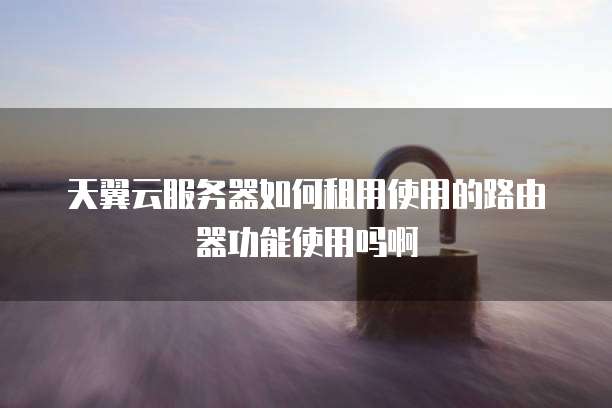 天翼云服务器如何租用使用的路由器功能使用吗啊