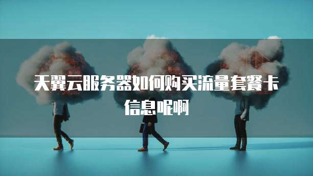 天翼云服务器如何购买流量套餐卡信息呢啊