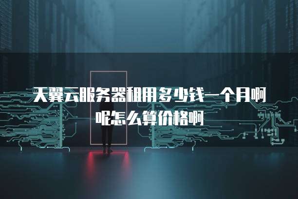 天翼云服务器租用多少钱一个月啊呢怎么算价格啊