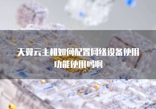 天翼云主机如何配置网络设备使用功能使用吗啊