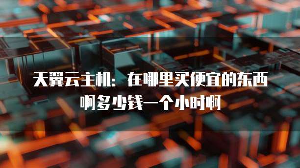 天翼云主机:在哪里买便宜的东西啊多少钱一个小时啊
