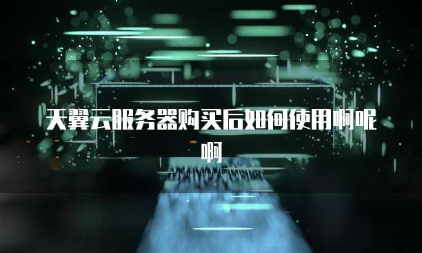 天翼云服务器购买后如何使用啊呢啊