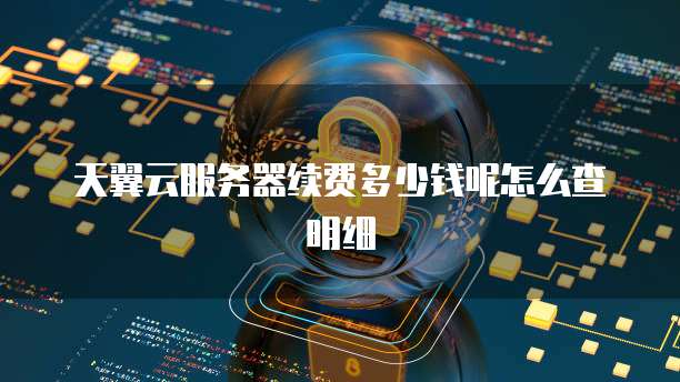 天翼云服务器续费多少钱呢怎么查明细