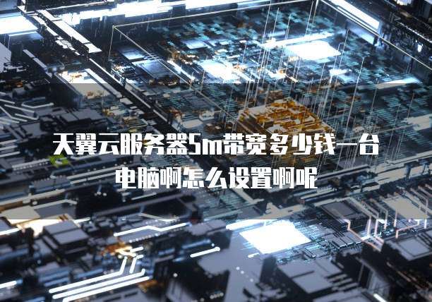 天翼云服务器5m带宽多少钱一台电脑啊怎么设置啊呢