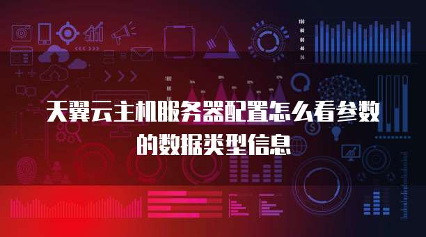 天翼云主机服务器配置怎么看参数的数据类型信息