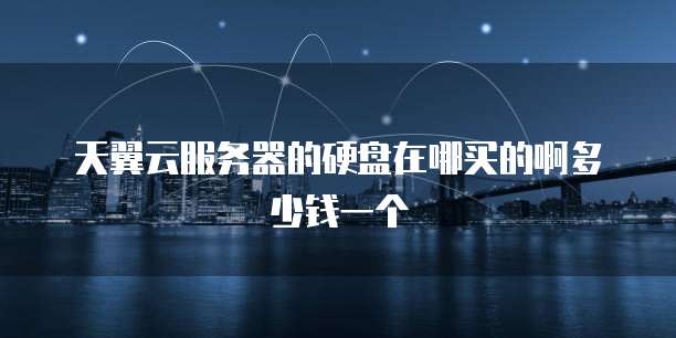 天翼云服务器的硬盘在哪买的啊多少钱一个