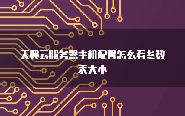 天翼云服务器主机配置怎么看参数表大小
