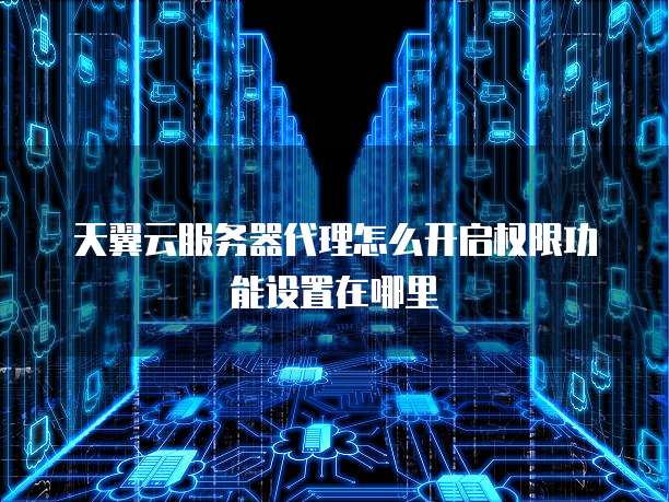 天翼云服务器代理怎么开启权限功能设置在哪里