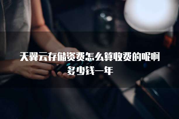 天翼云存储资费怎么算收费的呢啊多少钱一年