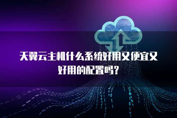 天翼云主机什么系统好用又便宜又好用的配置吗?