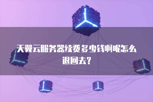 天翼云服务器续费多少钱啊呢怎么退回去?