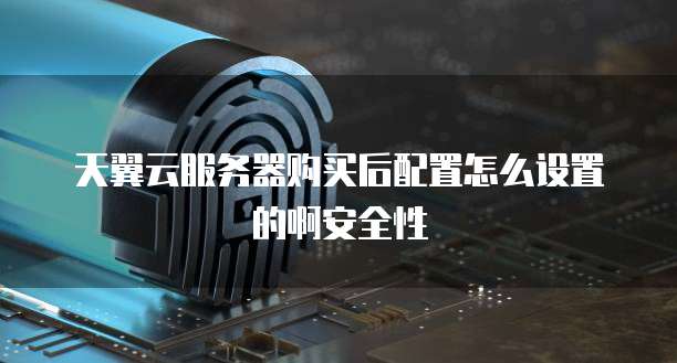 天翼云服务器购买后配置怎么设置的啊安全性