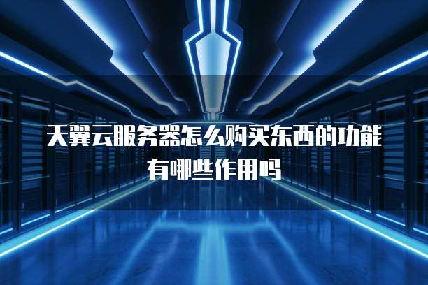 天翼云服务器怎么购买东西的功能有哪些作用吗