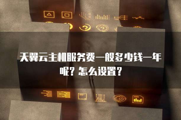 天翼云主机服务费一般多少钱一年呢?怎么设置?
